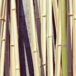 ws_bambu_day01_6-1-150x150 How to build an illuminating bamboo installation